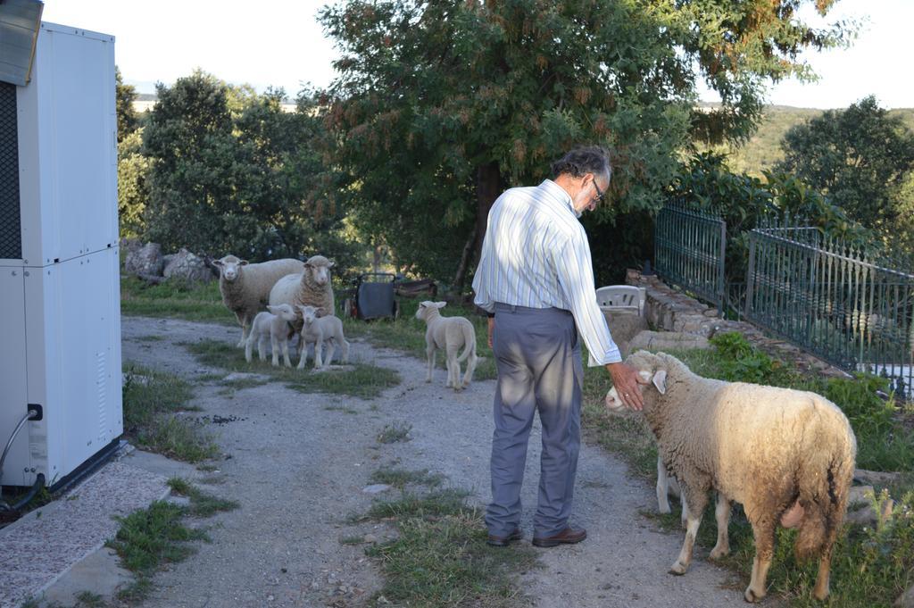 Casa Rural Las Gamitas Hotel Almoharin Zewnętrze zdjęcie